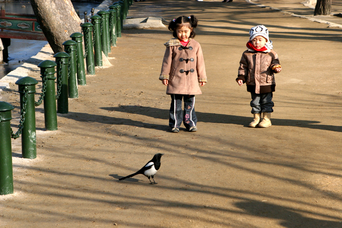 children and bird
