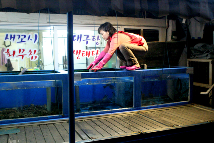 Sushi girl at the wharf in Sokcho