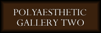 Polyaesthetic Gallery Two