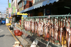 Drying fish on the streets of Sokcho