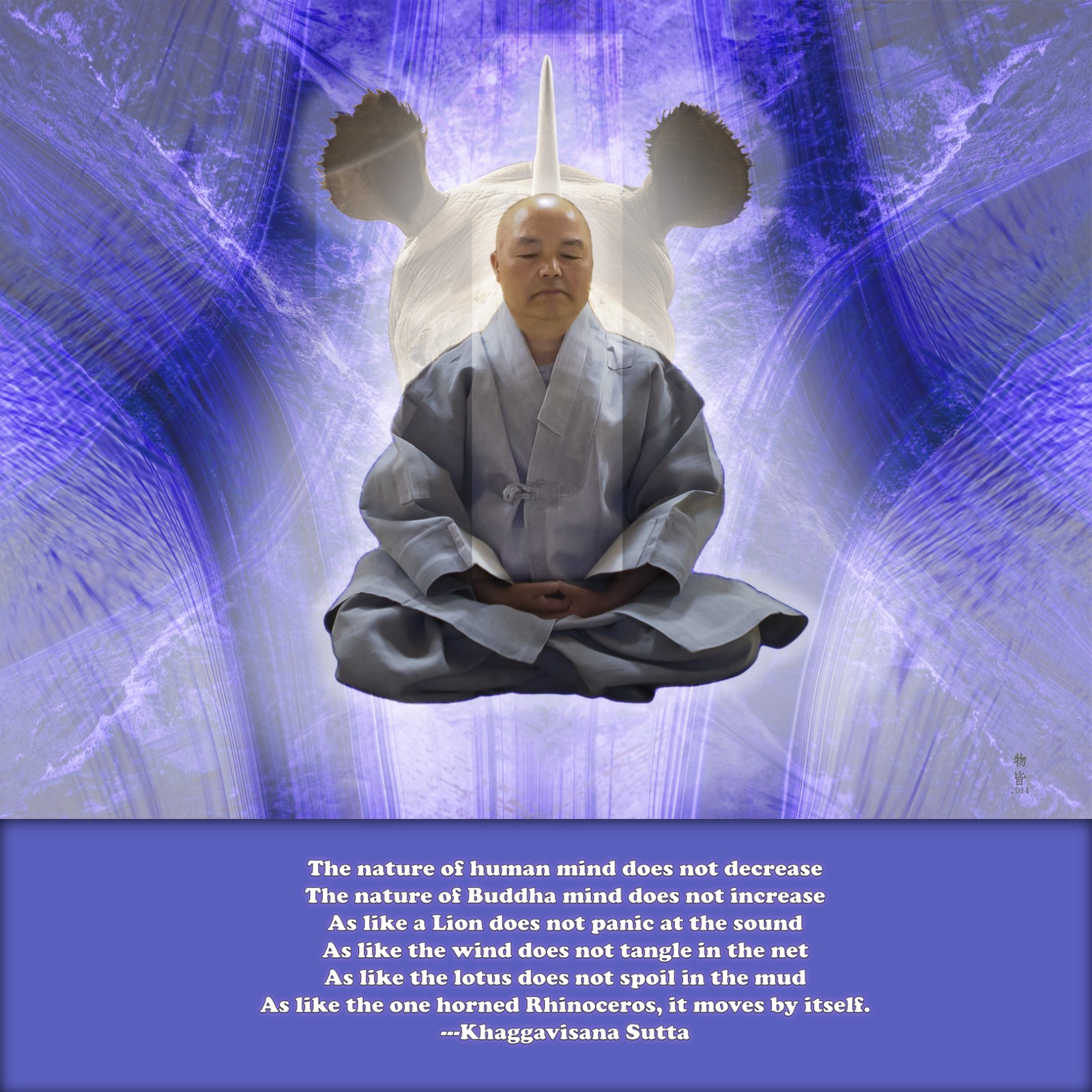 Chun Jin Rhino