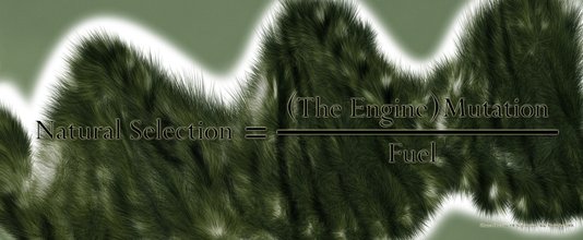 Phanes Doctrine Of Negentropy