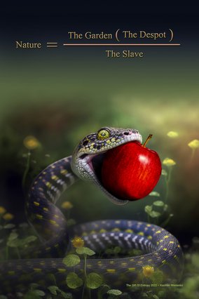 The Gift Of Entropy